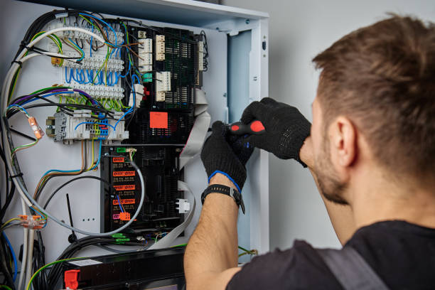 Licensed Electrical Panel Upgrade service in Theresa, WI - No Joke electrician